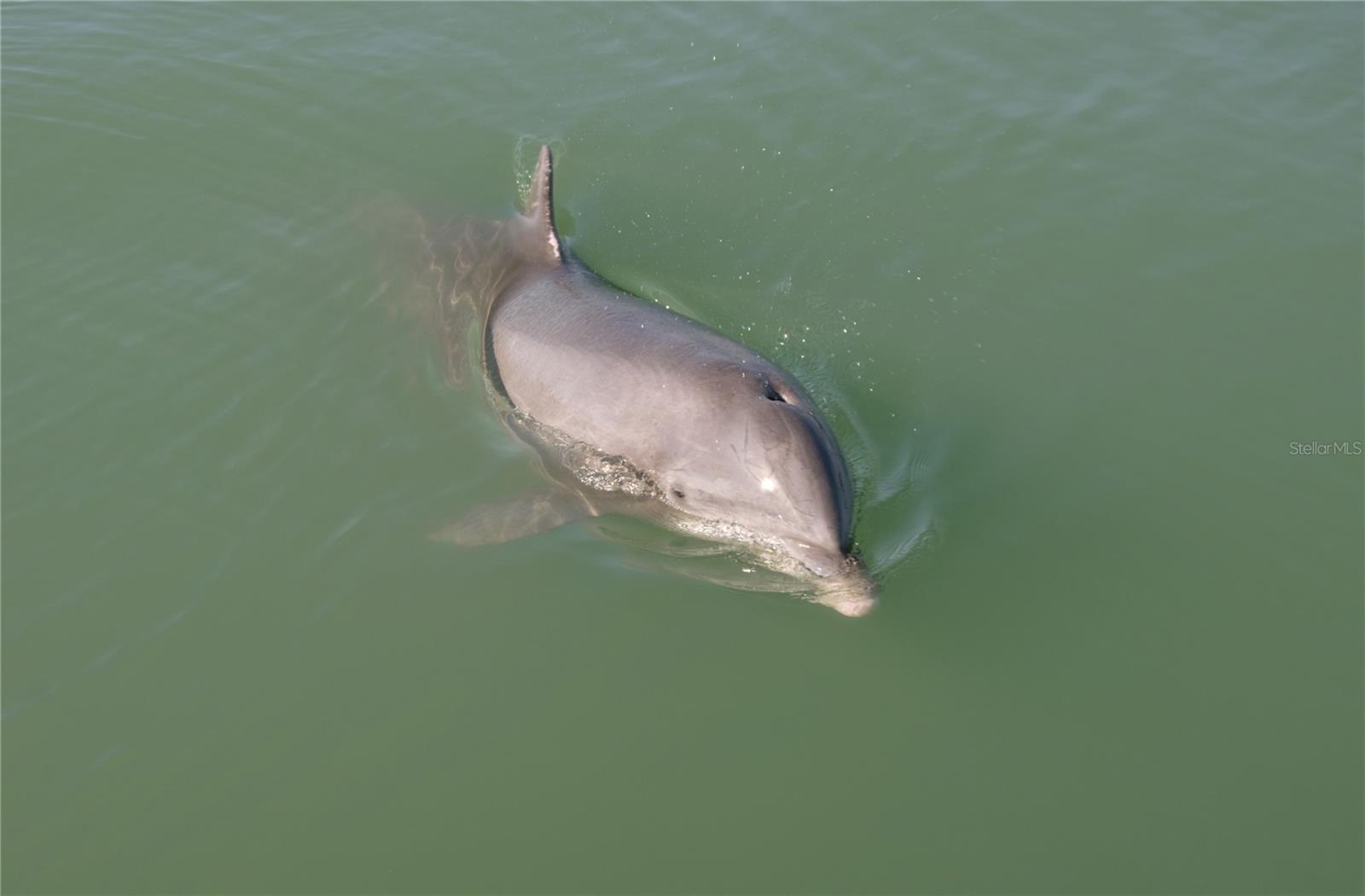 FANTASY ISLAND BLDG D - Residential