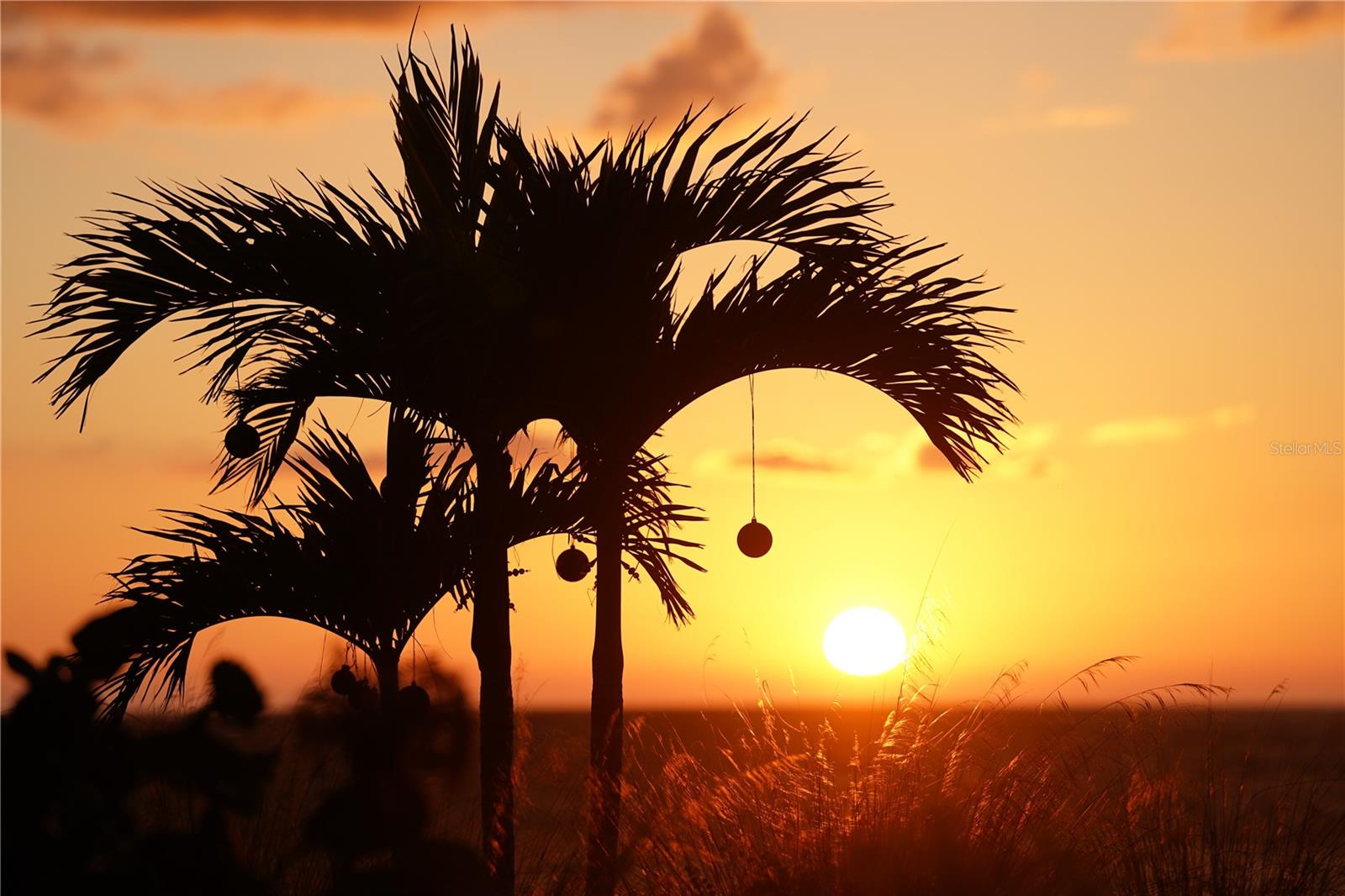 FANTASY ISLAND BLDG D - Residential