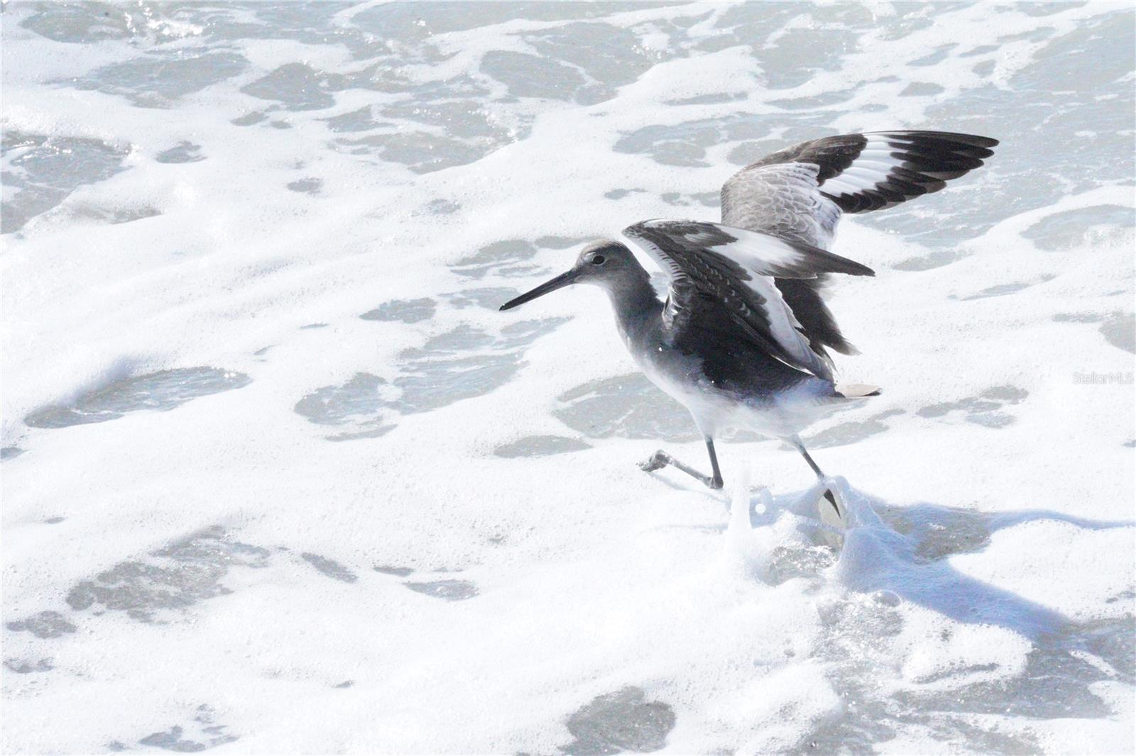 FANTASY ISLAND BLDG D - Residential