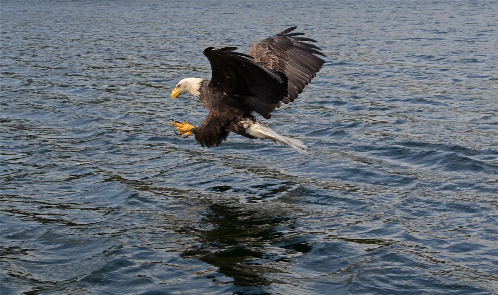 FANTASY ISLAND BLDG D - Residential