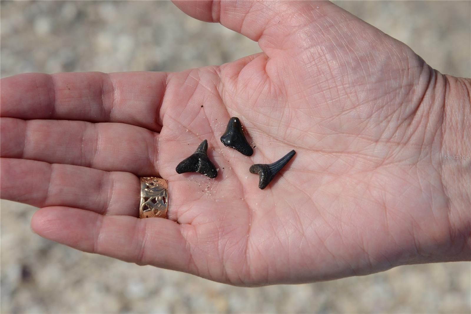 FANTASY ISLAND BLDG D - Residential