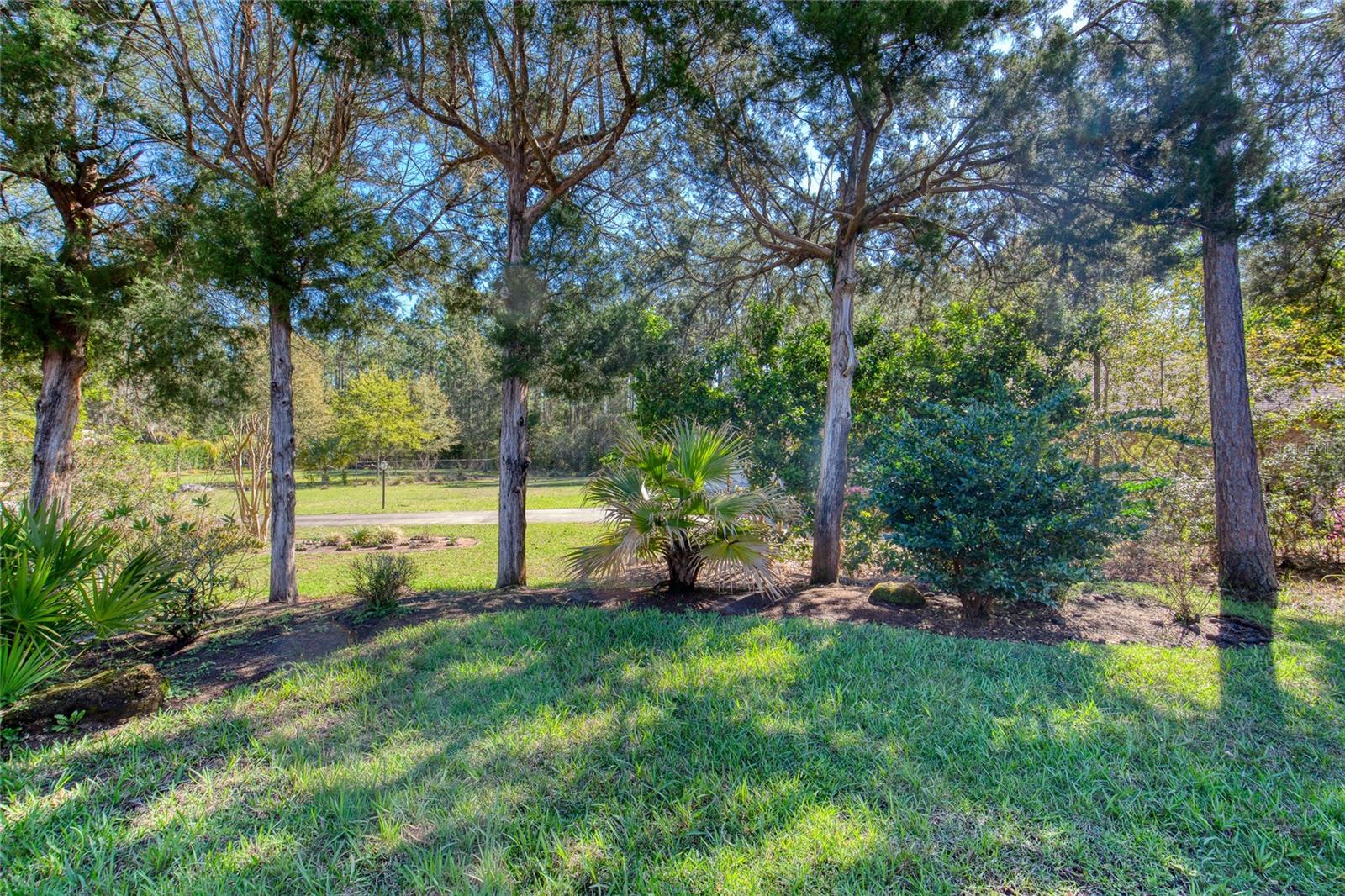 PALM COAST SEC 21 - Residential