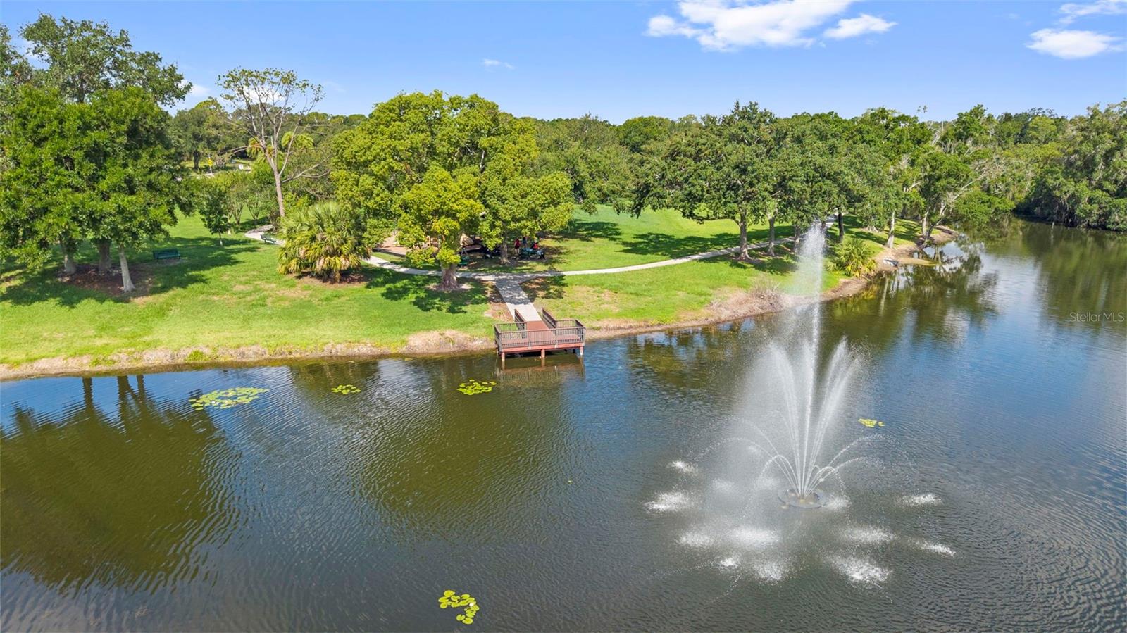 CARROLLWOOD VILLAGE PH TWO - Residential