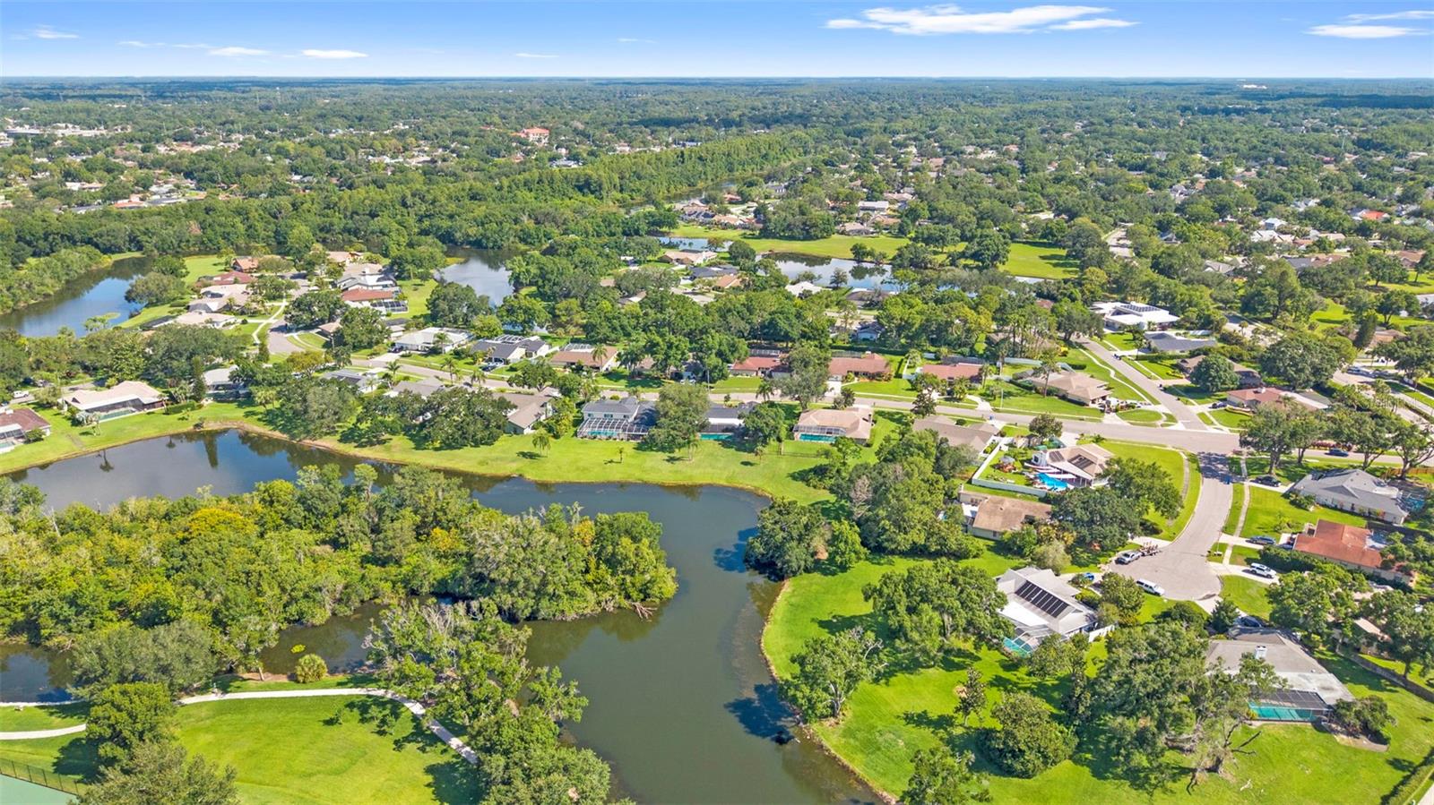 CARROLLWOOD VILLAGE PH TWO - Residential