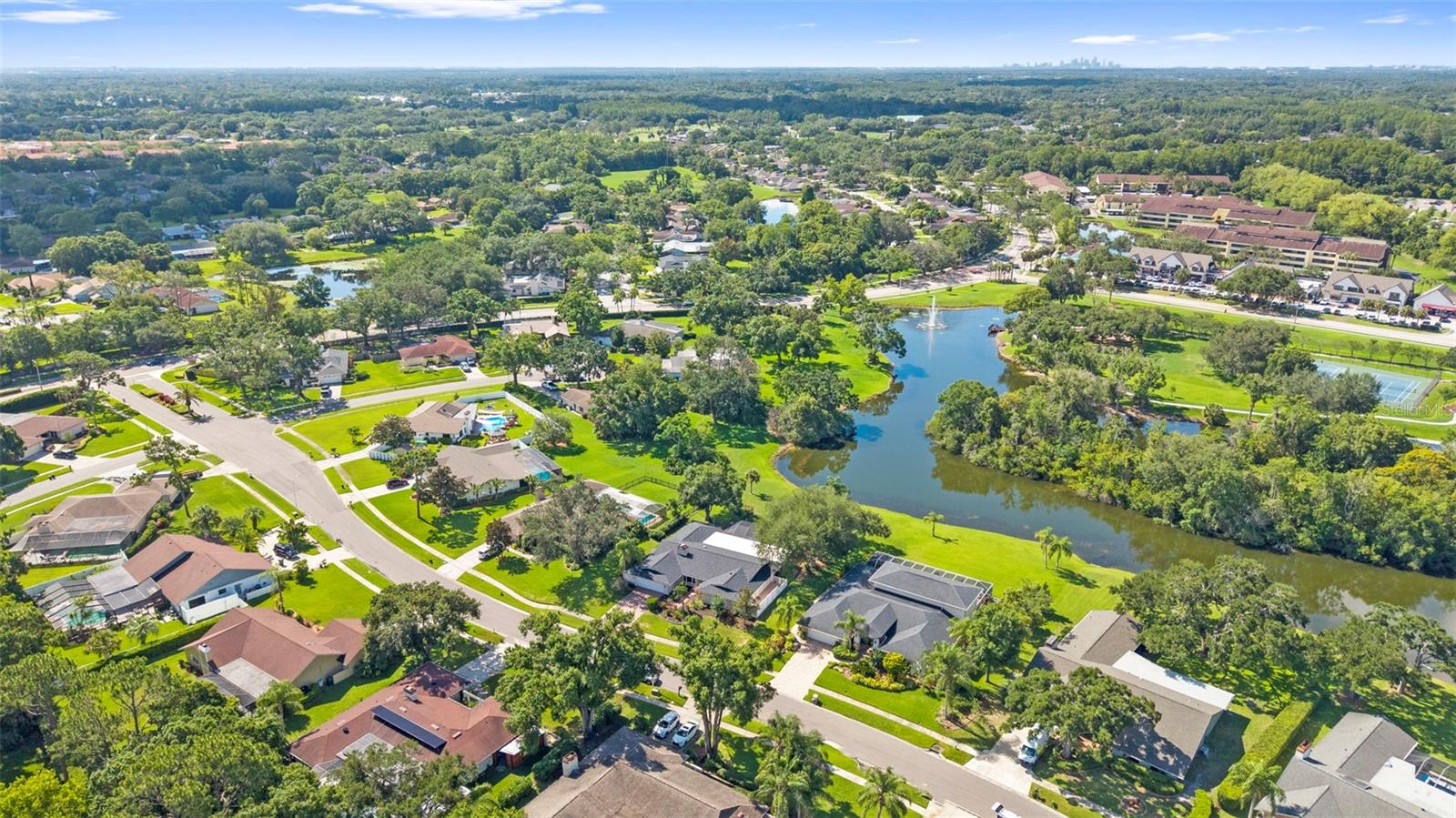 CARROLLWOOD VILLAGE PH TWO - Residential