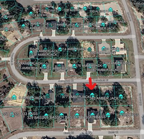 Photo of 377 Amberjack Court, Kissimmee, FL 34759 (MLS # C7527017)