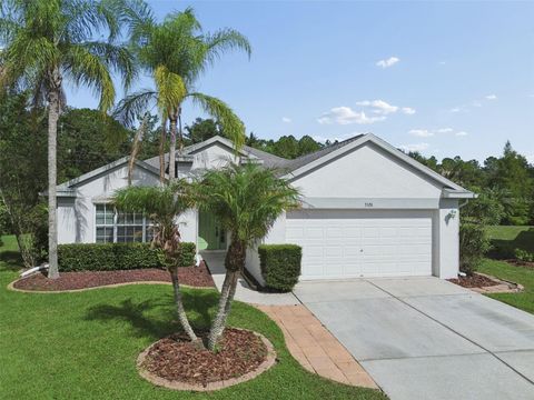 Photo of 3526 Morgans Bluff Court, Land O Lakes, FL 34639 (MLS # TB8531906)