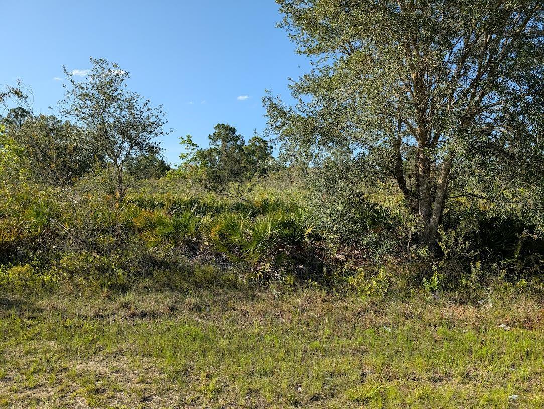 Come build your forever home on this one-half acre lot that located in the lake community of Indian Lake Estates, a golfing, fishing and
boating community in the center of Florida. Indian Lake Estates is about 20 miles east of Lake Wales. The community surrounds the 7,500 acre lake locally known as Lake Walk In Water, nationally known for its fishing and considered to be one of the best bass fishing lakes in all Florida. The lake has a beach, boat ramp, boat marina and the longest freshwater Fishing pier in the State of Florida. The pavilion is located at the front of the pier and is complete with propane grills and covered picnic tables. The community amenities include an 18-hole golf course, basketball and tennis courts, 23, 000 sq.ft. clubhouse, cafe, post office, churches, library, fitness room and pro shop. If you love nature and the peace and quiet of the country you're in luck. Wildlife is plentiful! You will see deer, raccoon, turkey, turtles, cranes and various species of birds that call Indian Lake Estates their home. Orlando and Disney is only about an hour's drive north and Tampa, Busch Gardens, and the Gulf's pristine beaches only a little over an hour west. Historic Bok Tower, a National Landmark, is in nearby Lake Wales. The Westgate River Ranch Resort and Rodeo is just six miles away. An authentic Florida dude ranch and full-service resort offering guests the opportunity to experience "Old Florida." Encompassing 1,700 beautiful acres, Westgate River Ranch features horseback riding, wildlife airboat and swamp buggy rides, Saturday night championship rodeo, trap/skeet range, nature hikes, petting farm, marina, Adventure Park with zip line and rock climbing wall, Westgate Smokehouse Grill and River Ranch Saloon and much more. Cowboy-themed accommodations range from ranch-themed lodge guestrooms and deluxe lodge suites to spacious cottages, two-bedroom cabins, Glamping and Luxe Teepees. Come out and see how great life can be at Indian Lake Estates! Polk County's best kept secret.