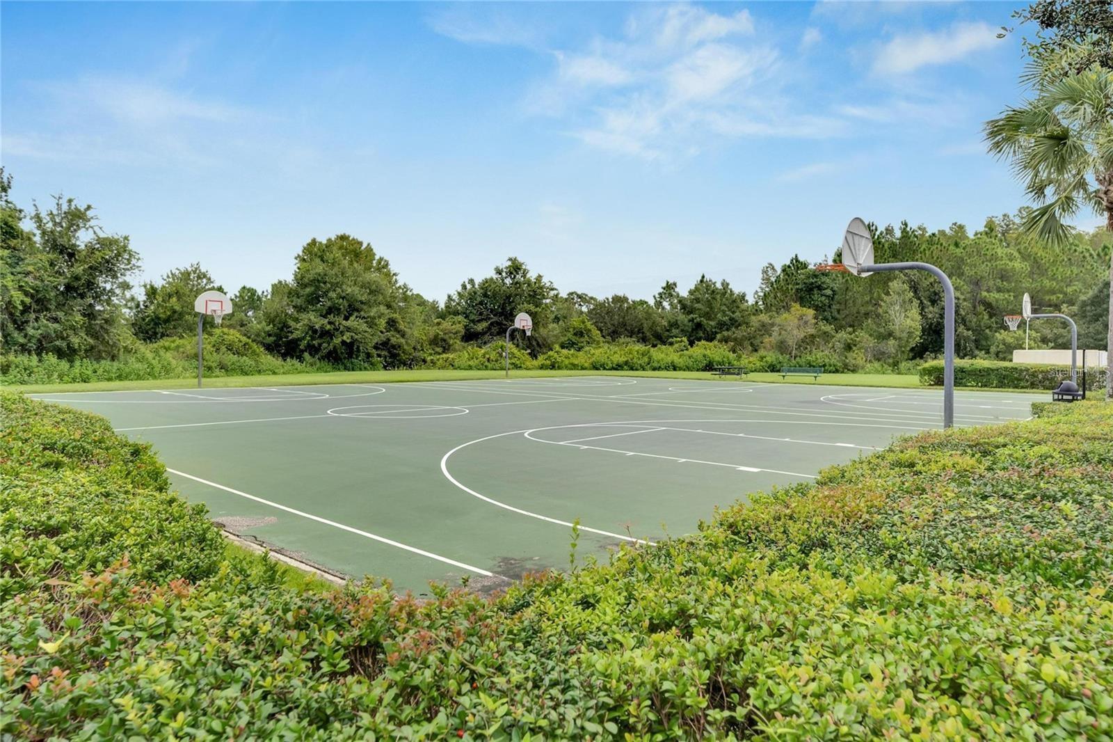 MEADOW POINTE IV PRCL I - Residential