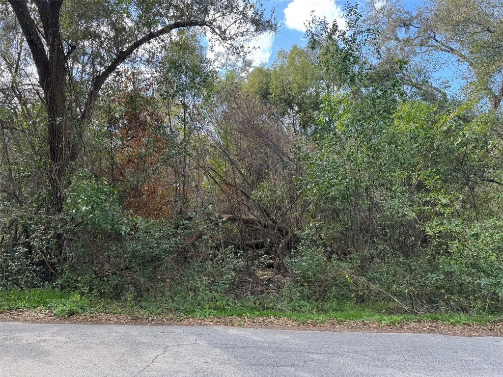 Photo of 76 Idle A While Circle, Dade City, FL 33523 (MLS # A4641036)