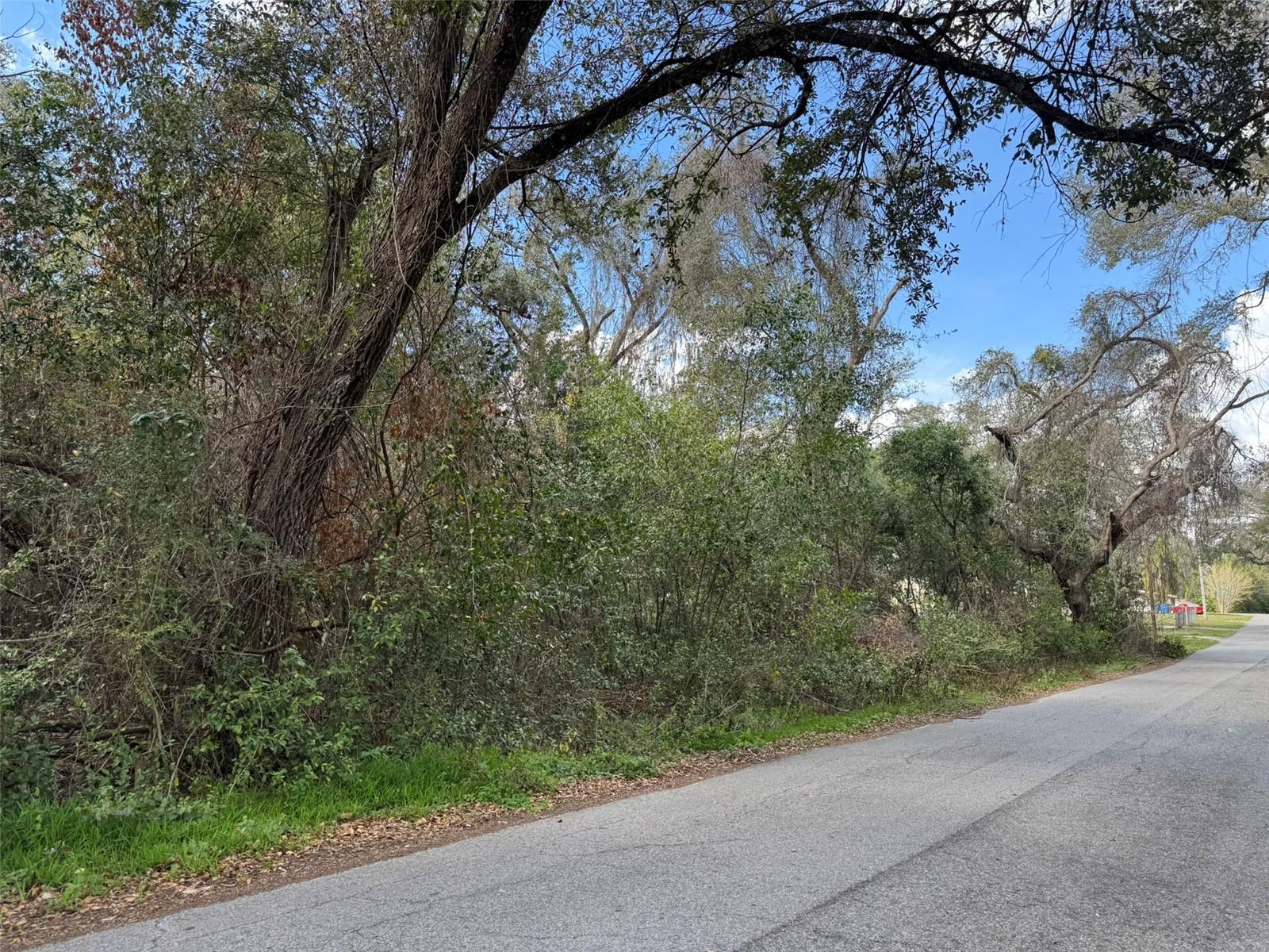 Discover the perfect opportunity to create your ideal retreat.33-acre vacant lot on Idle A While Circle in the serene community of Ridge Manor. This unimproved property is surrounded by natural beauty, providing privacy and tranquility while still being conveniently located near major attractions and everyday amenities. Located close to Tampa and the stunning Gulf beaches of St. Petersburg, this property offers both seclusion and accessibility. Interstate I-75 is just minutes away, ensuring seamless connectivity for commuters and travelers. Nearby shopping, dining, and recreational spots provide all the conveniences needed for a comfortable lifestyle. Whether you're looking to build a custom home in a peaceful setting or invest in Florida real estate, this lot is an incredible opportunity to own a slice of paradise.