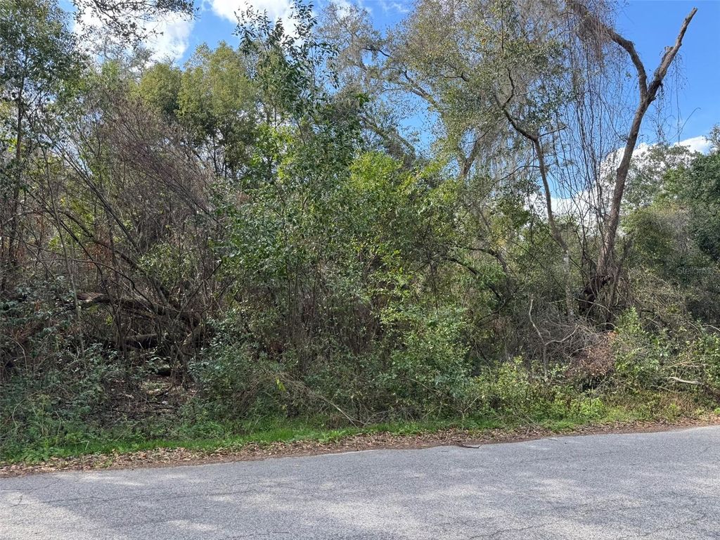 Photo of 76 Idle A While Circle, Dade City, FL 33523 (MLS # A4641036)