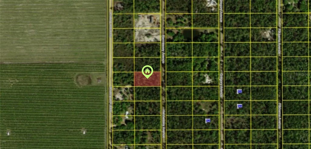 Photo of 10515 Hennessey Avenue, Hastings, FL 32145 (MLS # O6436890)