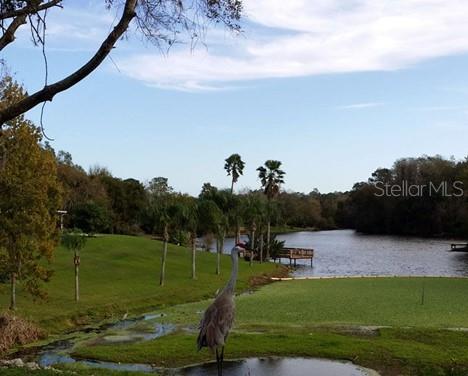 LAKE PADGETT EAST ISLAND EST - Residential