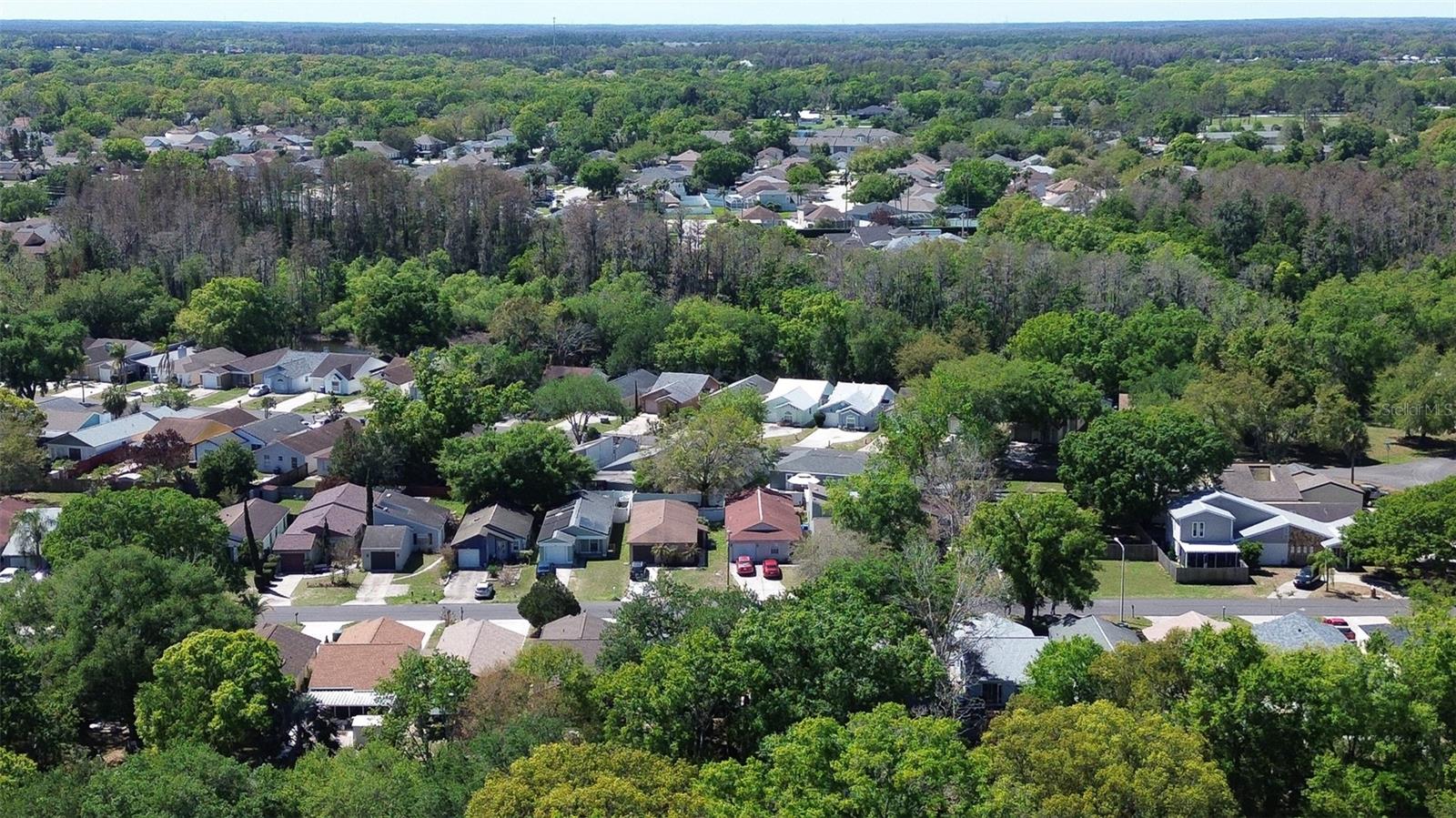 LAKE PADGETT EAST ISLAND EST - Residential