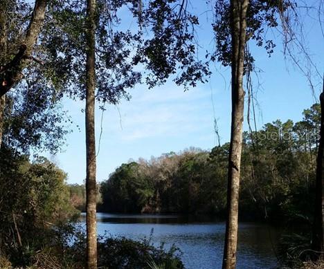 LAKE PADGETT EAST ISLAND EST - Residential