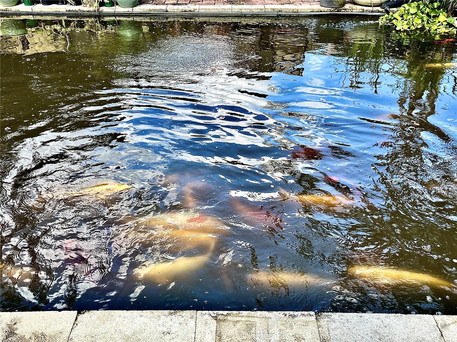 PRIMA VISTA - Residential