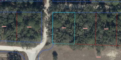 NE 50TH PLACE WILLISTON FL 32696