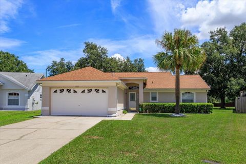 Photo of 15533 Crystal Creek Court, Clermont, FL 34711 (MLS # O6335943)