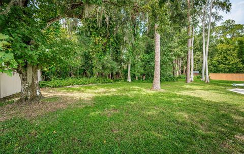 A home in PALM HARBOR