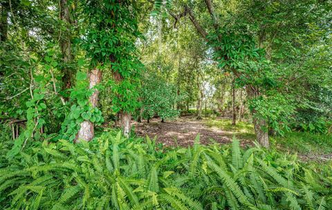 A home in PALM HARBOR