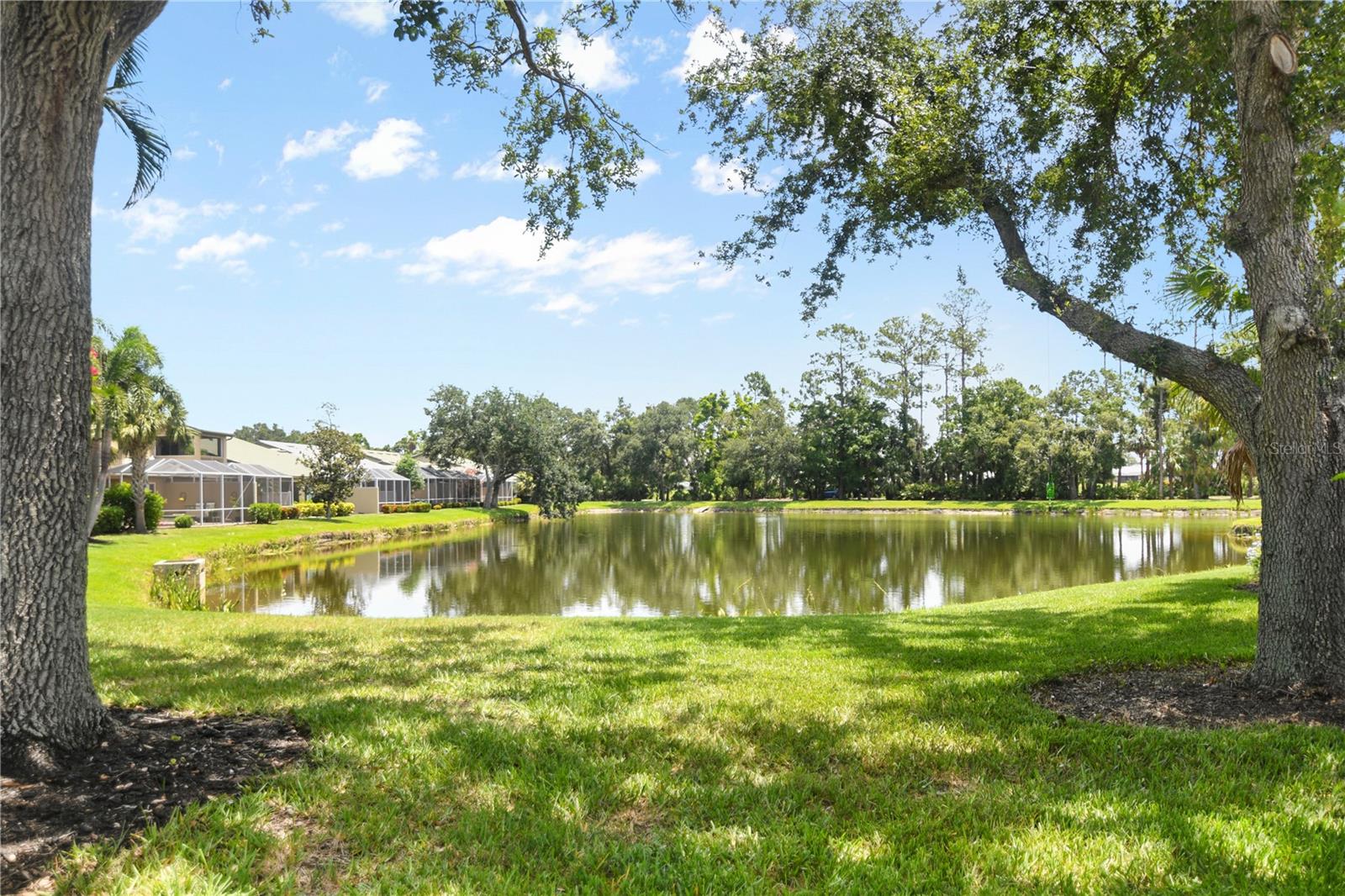 ROSEDALE 8 WESTBURY LAKES - Residential