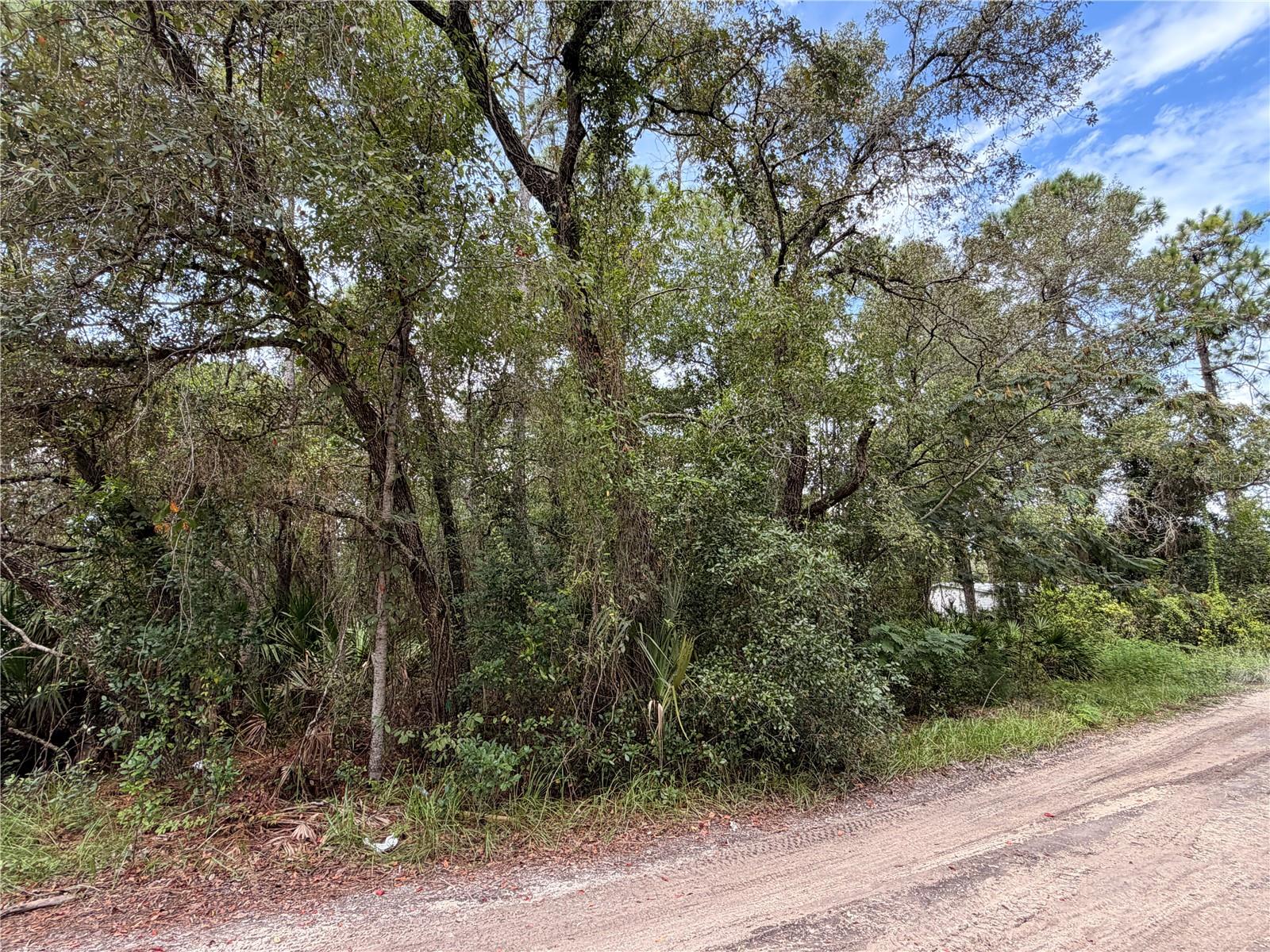 5710 S LEOPARD POINT