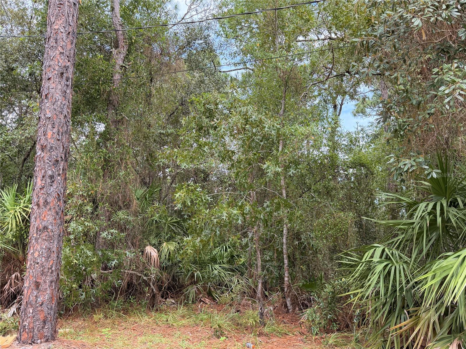 5710 S LEOPARD POINT