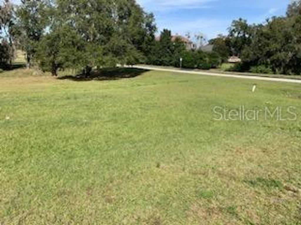 Photo of 12725 E Ridgeview Court, Dade City, FL 33525 (MLS # T3502404)