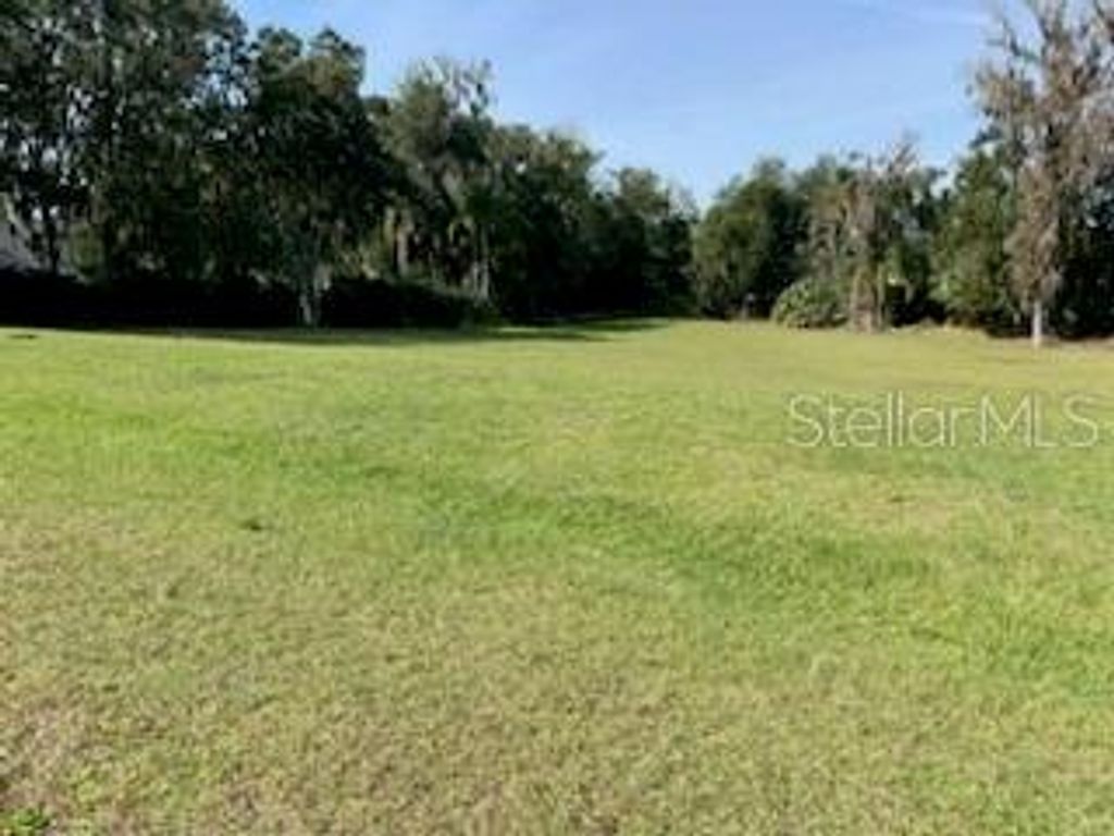 Photo of 12725 E Ridgeview Court, Dade City, FL 33525 (MLS # T3502404)