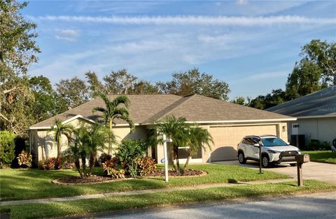 A home in PALM HARBOR