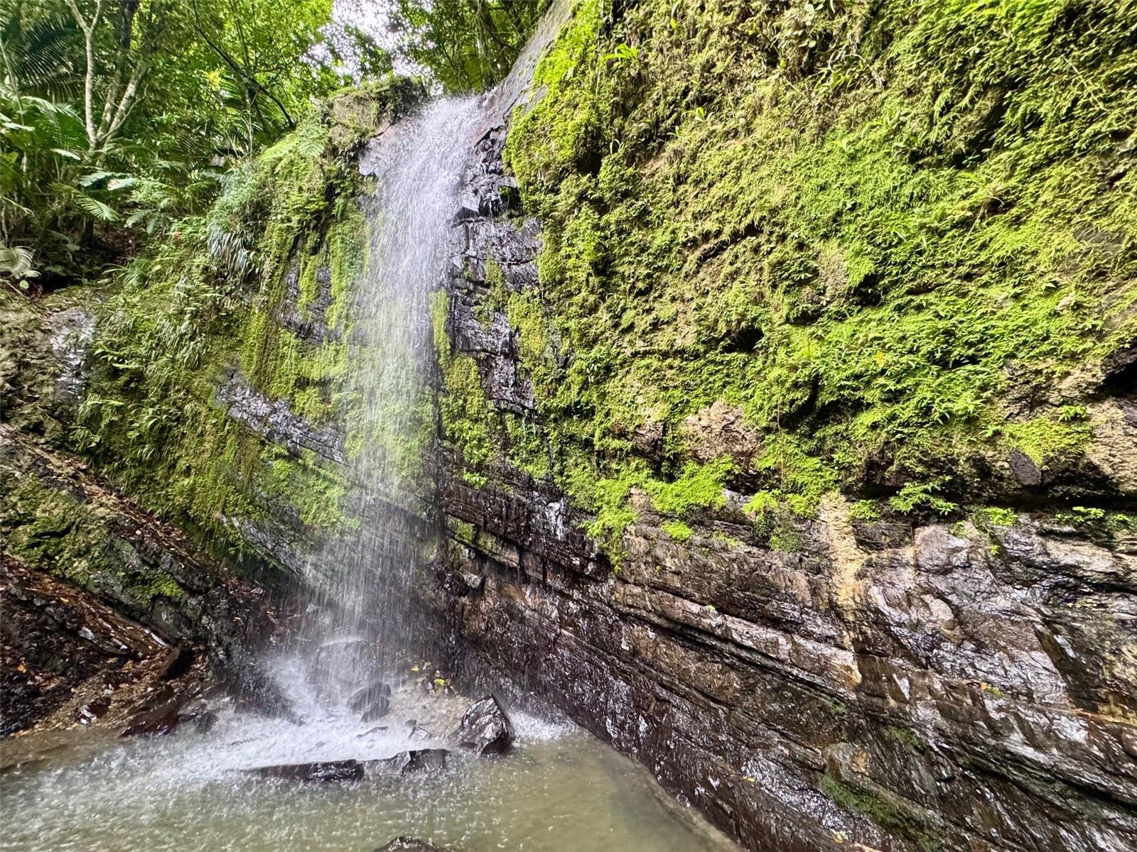 COCO BEACH - Residential