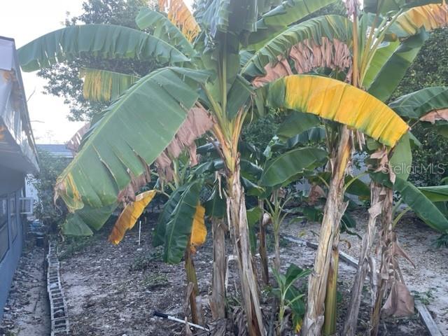 KENSINGTON SEC 01 - Residential