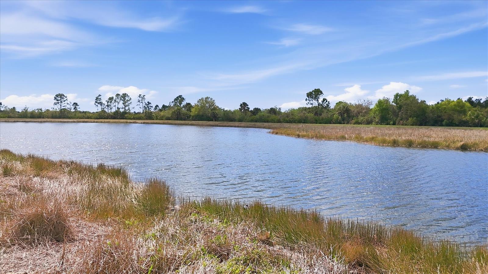 SARASOTA NATIONAL PH 3 - Residential