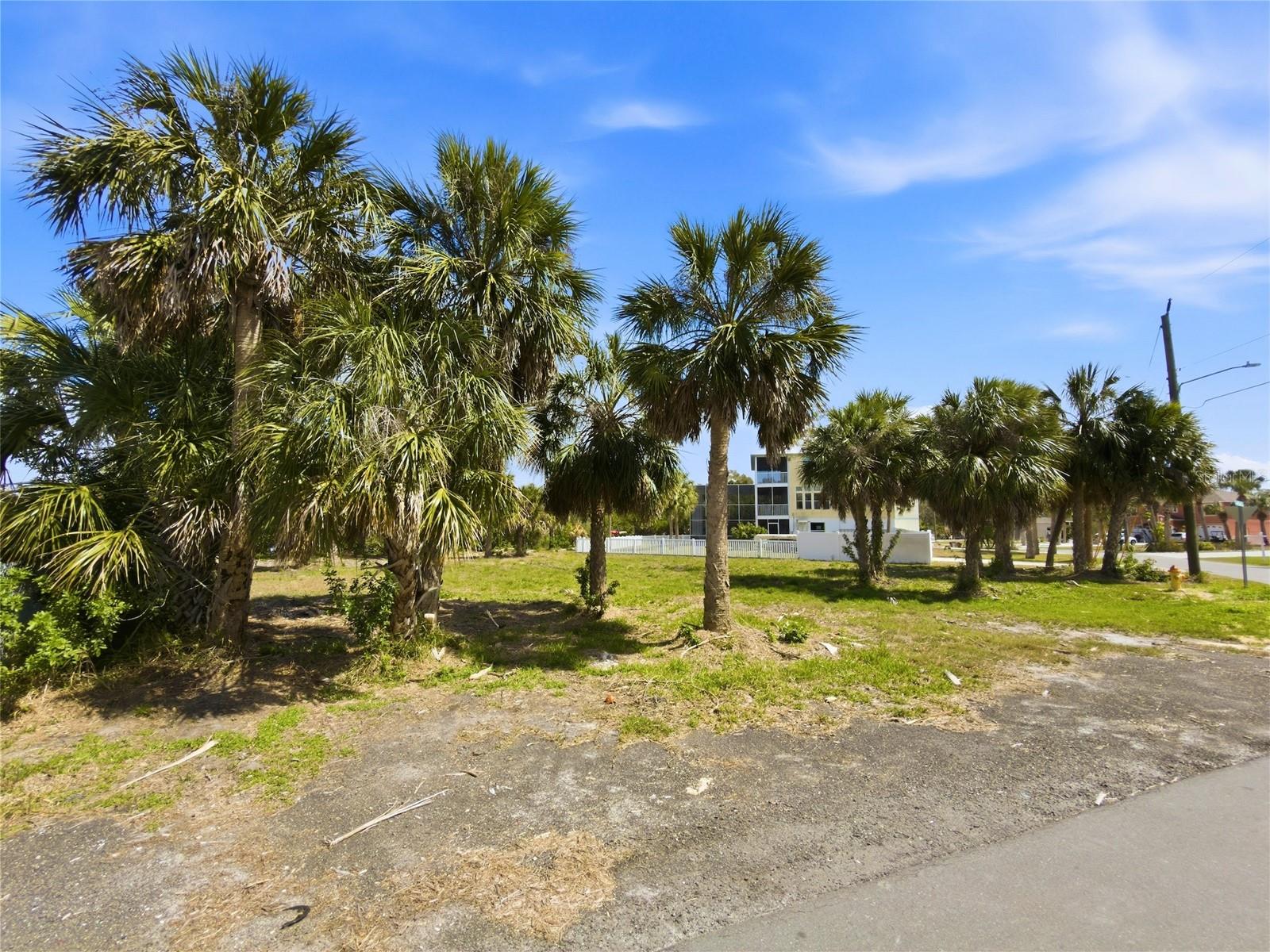 LAKE TO GULF ESTATES - Land