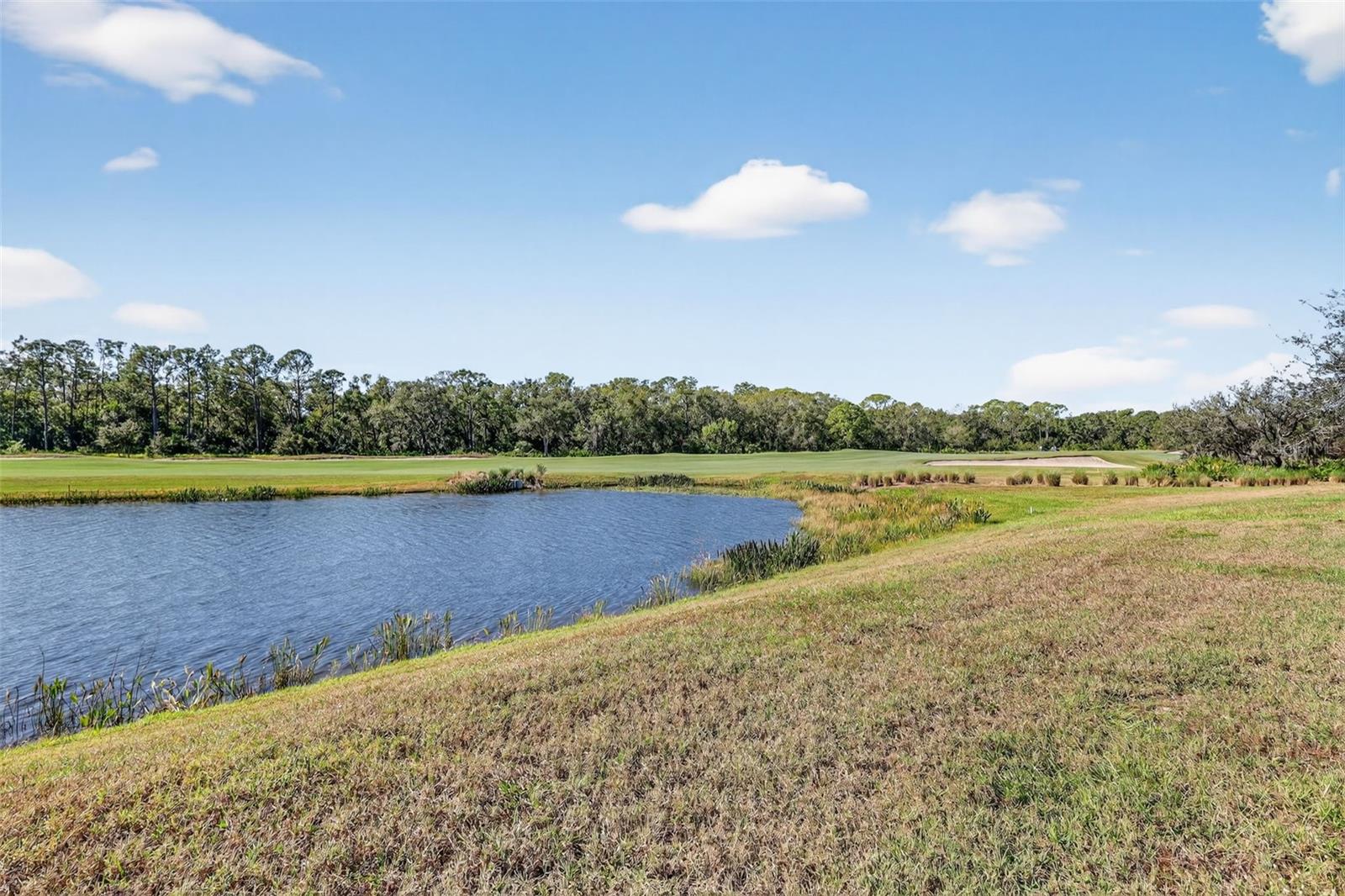 17520 GAWTHROP DRIVE 405