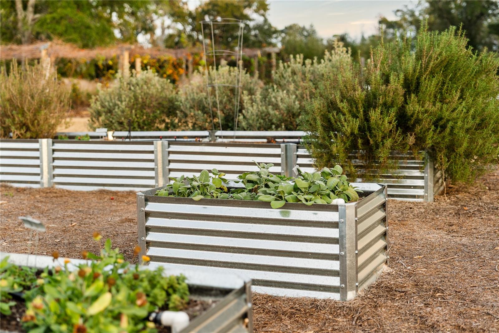 FLINT ROCK AGRIHOOD - Residential