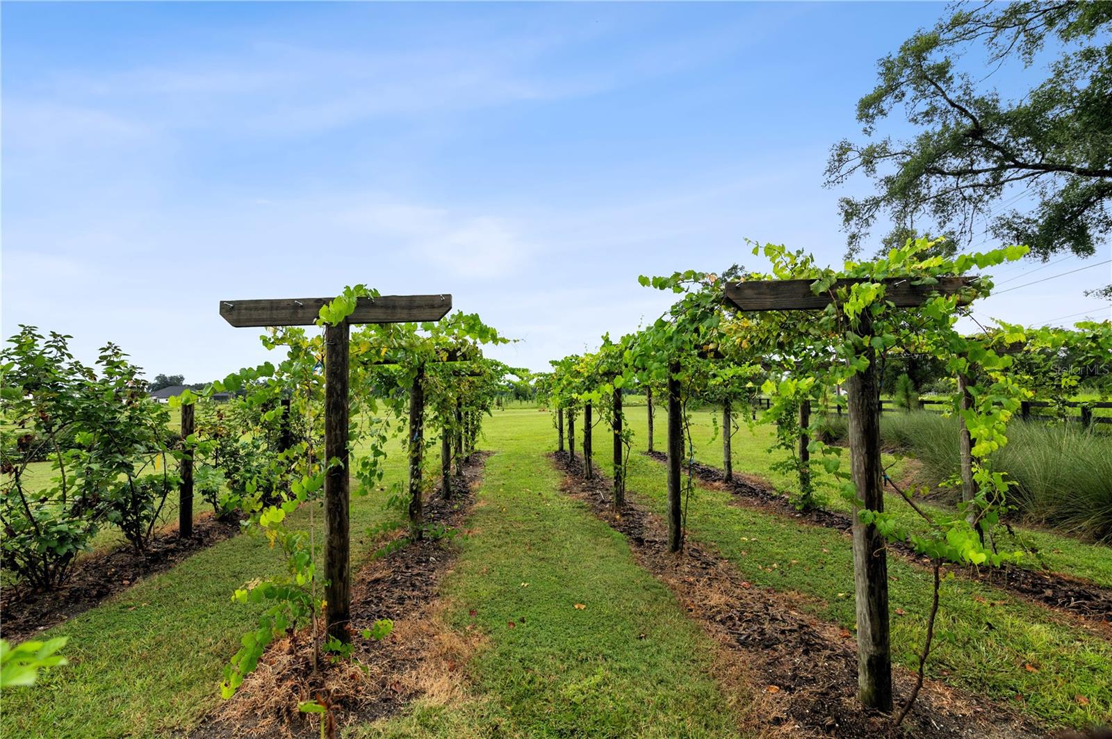 FLINT ROCK AGRIHOOD - Residential