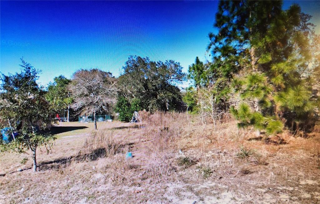 Thinking of building your dream HOME?? Look no further, this is a great LOCATION, homogeneous neighborhood of young built SINGLE-FAMILY homes! NO deed RESTRICTIONS, no in flood zone, no HOA dues, yet close to all amenities and with easy highway access. Town water, private sewer. Time to enjoy the FLORIDA lifestyle, come and explore the WEST COAST beaches, lakes, parks and much more!