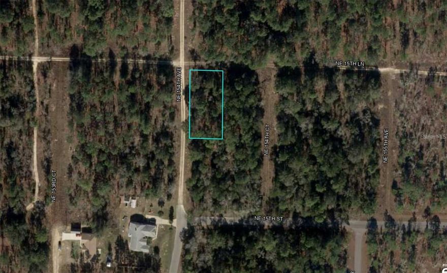 Prime 0.23-Acre Lot in Williston, FL – High & Dry! This buildable, high-and-dry 0.23-acre lot offers a fantastic opportunity in a rapidly growing area. Conveniently located near local amenities with quick access to both Gainesville and Ocala, it’s ideal for future development or as a smart long-term investment. Don’t miss your chance to own a piece of Florida’s growth!