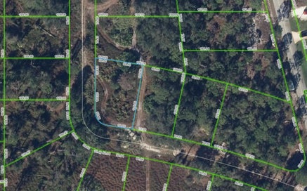 108 CHANDLER TERRACE NE LAKE PLACID FL 33852