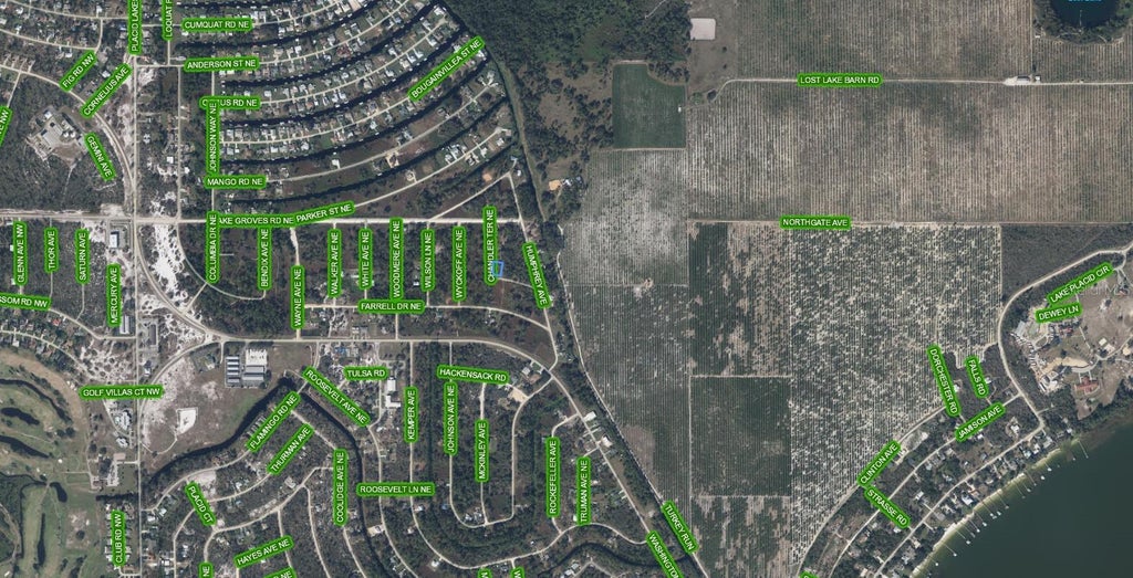 Photo of 108 Chandler Terrace NE, Lake Placid, FL 33852 (MLS # A4704409)