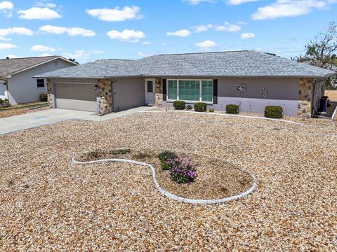 Photo of 615 Allegheny Drive, Sun City Center, FL 33573 (MLS # TB8420884)