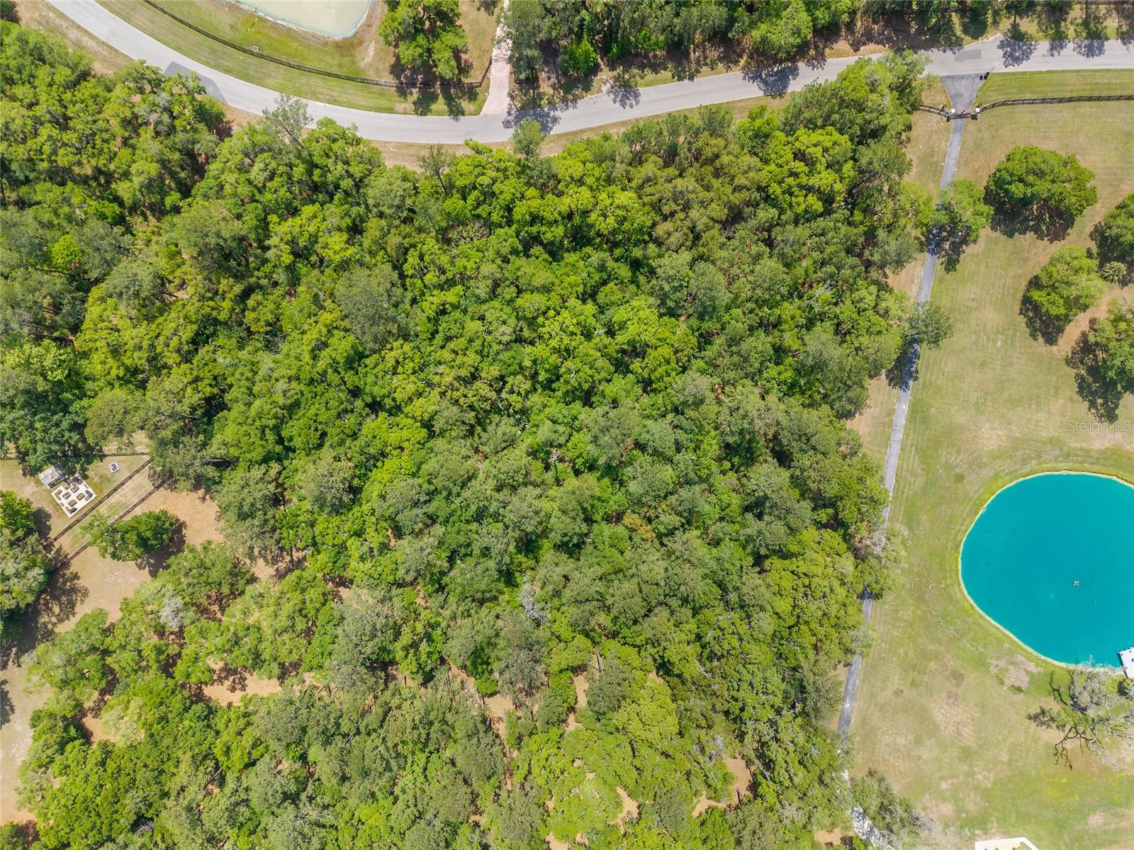 ESTATES/COTTON PLANT - Land