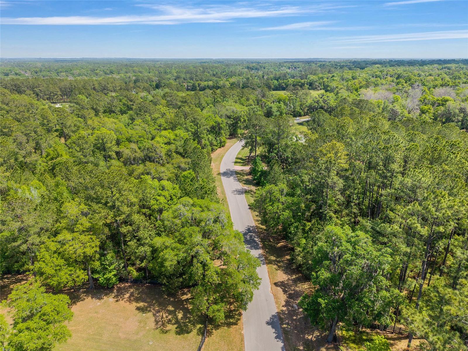 ESTATES/COTTON PLANT - Land