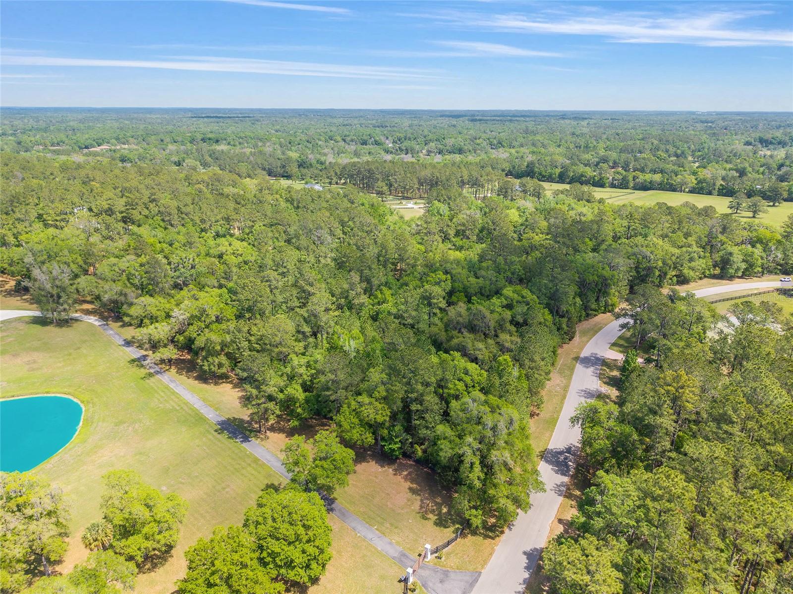 ESTATES/COTTON PLANT - Land