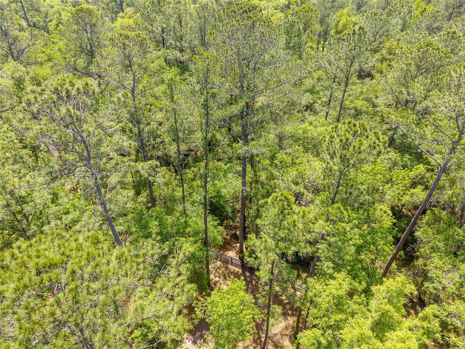 ESTATES/COTTON PLANT - Land