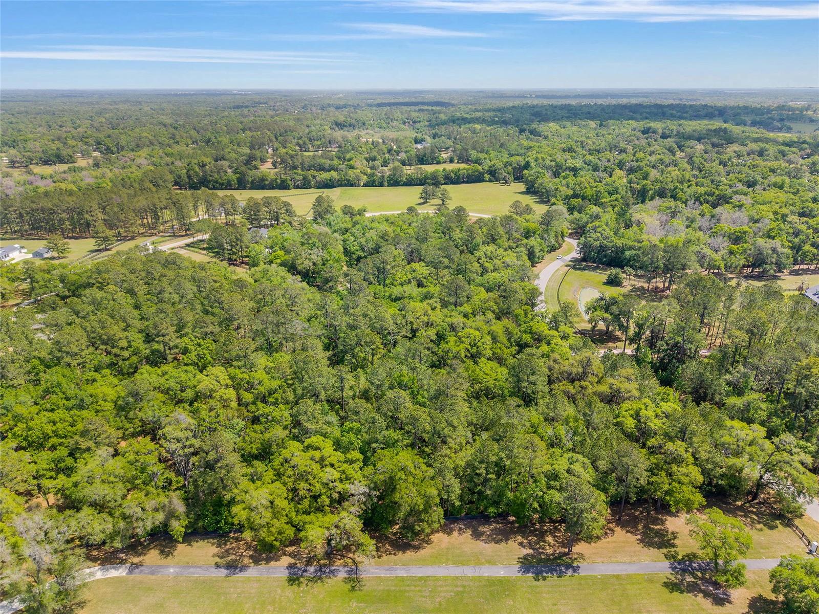 ESTATES/COTTON PLANT - Land