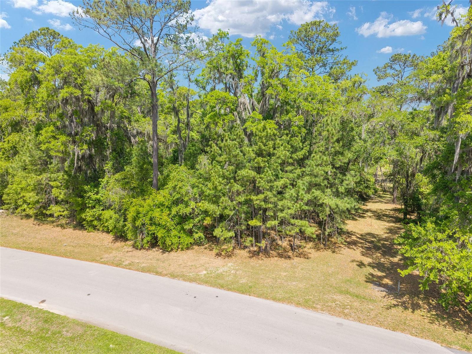 ESTATES/COTTON PLANT - Land