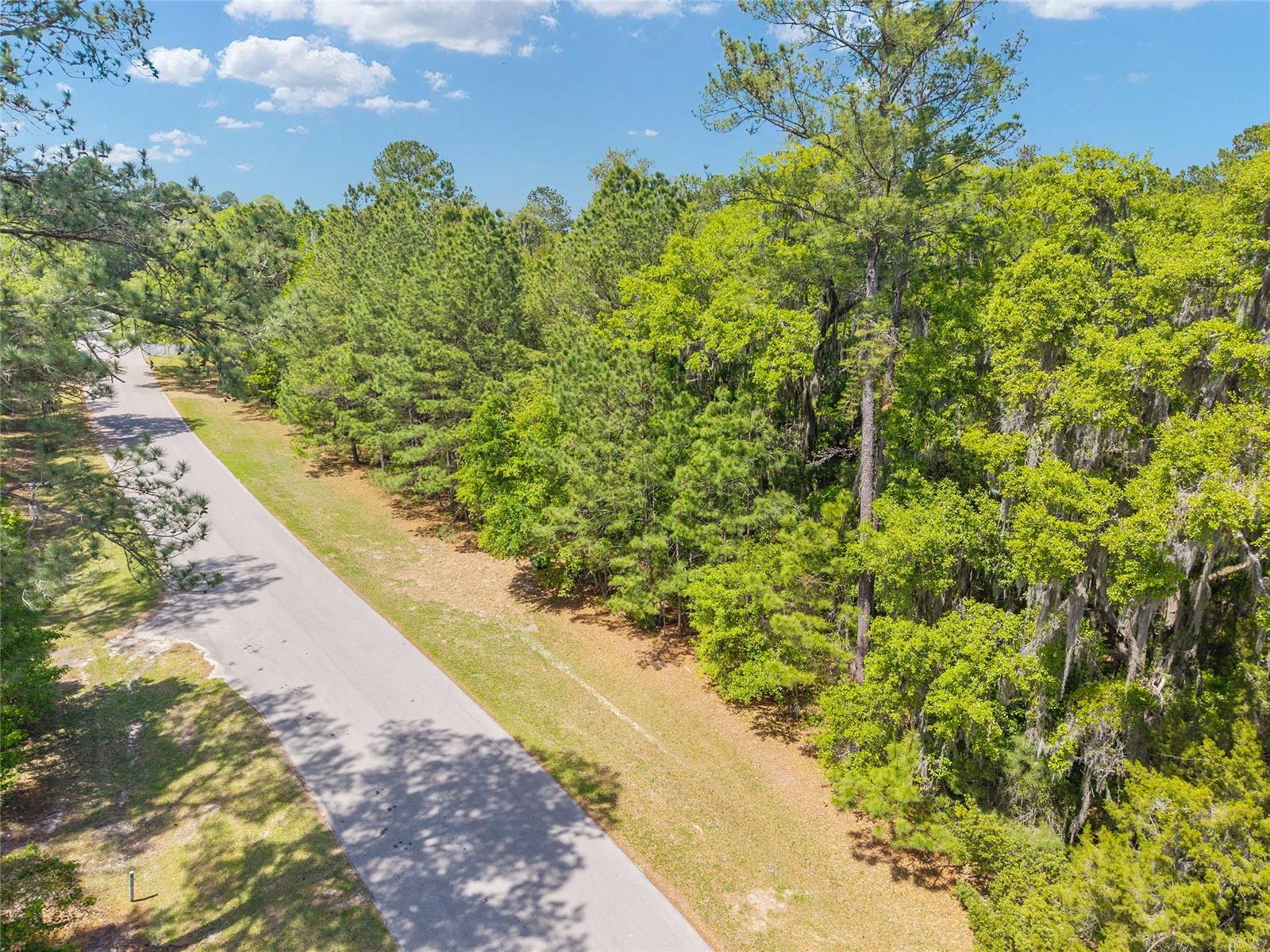 ESTATES/COTTON PLANT - Land